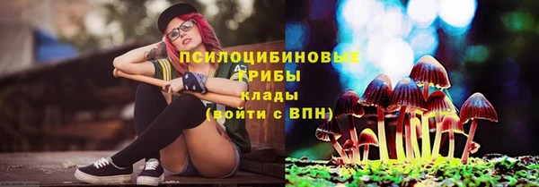 прущие грибы Заволжск