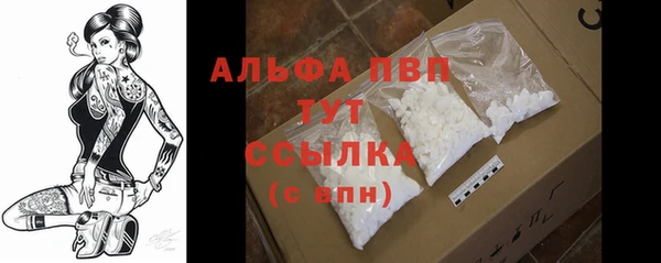 крисы Заводоуковск