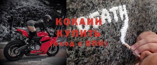 прущие грибы Заволжск
