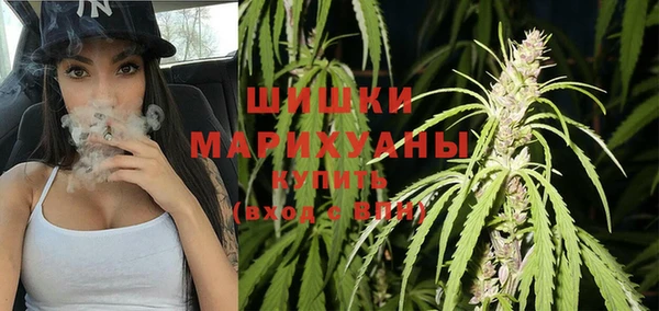 крисы Заводоуковск