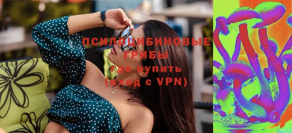прущие грибы Заволжск
