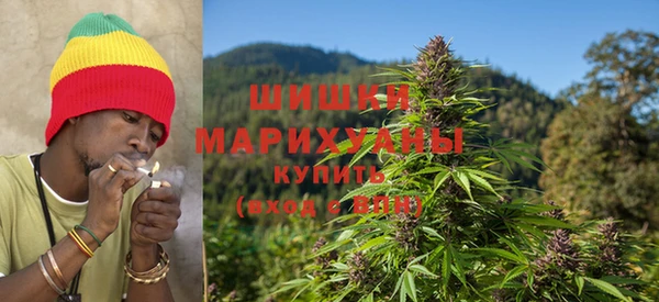 крисы Заводоуковск