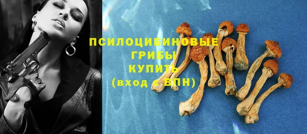 прущие грибы Заволжск