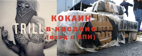 крисы Заводоуковск