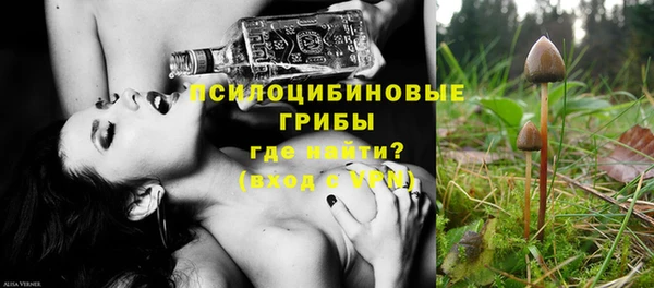 прущие грибы Заволжск