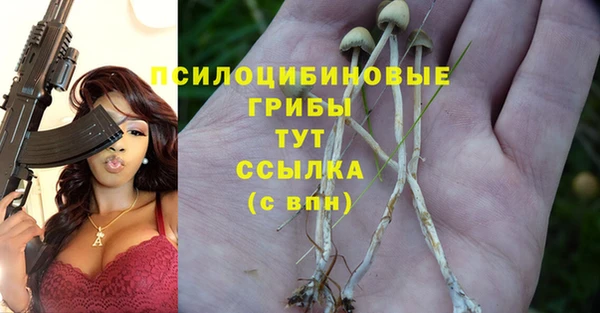 синтетический гашиш Заволжье