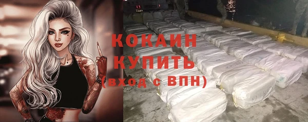 крисы Заводоуковск