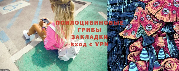 прущие грибы Заволжск