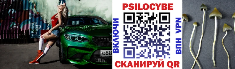 Купить  Дюртюли  Псилоцибиновые грибы ЛСД 